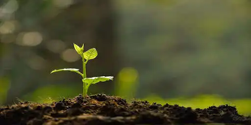Play Soil Day  and enjoy Soil Day with UptoPlay