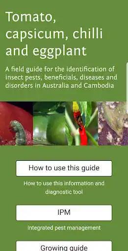 Play Solanaceae Fruit Field Guide  and enjoy Solanaceae Fruit Field Guide with UptoPlay