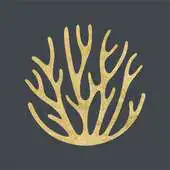 Free play online Solaz Los Cabos APK