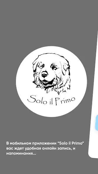 Play Solo il Primo  and enjoy Solo il Primo with UptoPlay