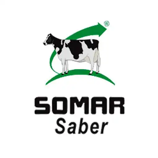 Play SOMAR Saber APK Play SOMAR Saber APK