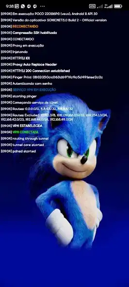 Play SONIC NET 5.0 as an online game SONIC NET 5.0 with UptoPlay