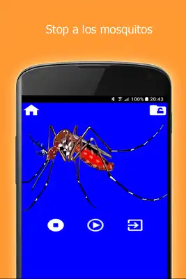 Play Sonido Auyentador de mosquitos gratis