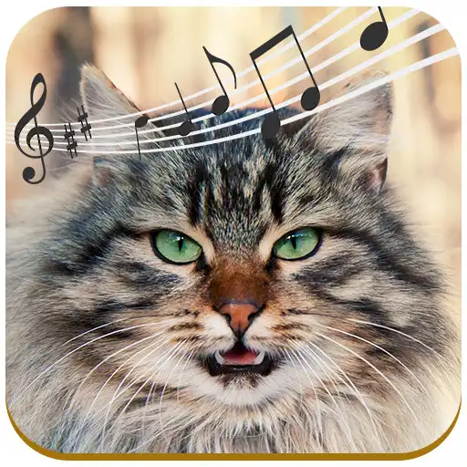 Play Sonidos de Gatos APK Play Sonidos de Gatos APK