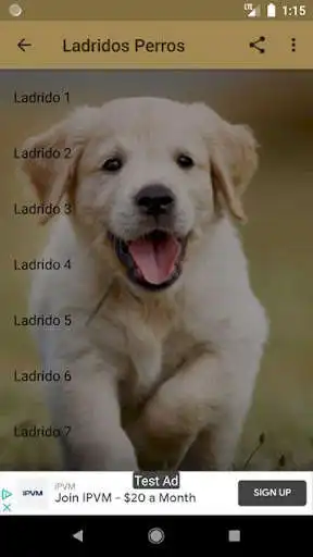 Play Sonidos de perros as an online game Sonidos de perros with UptoPlay