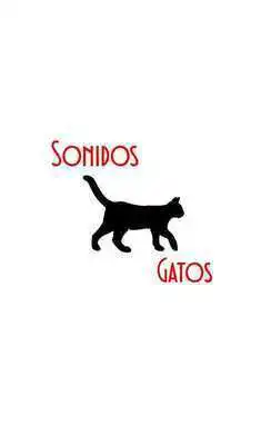 Play Sonidos Gatos