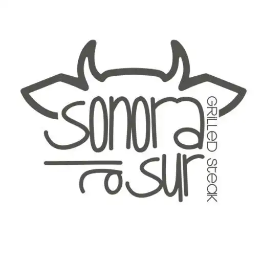 Play Sonora al Sur APK Play Sonora al Sur APK