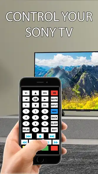 Play SONY Full Tv Remote as an online game SONY Full Tv Remote with UptoPlay