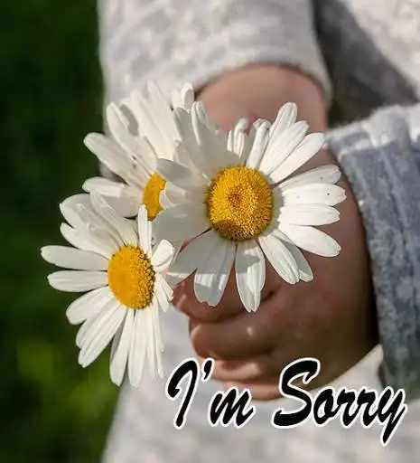 Play APK Sorry Image and enjoy Sorry Image with UptoPlay com.picsquotesstudio.sorryimage Play APK Sorry Image and enjoy Sorry Image with UptoPlay com.picsquotesstudio.sorryimage