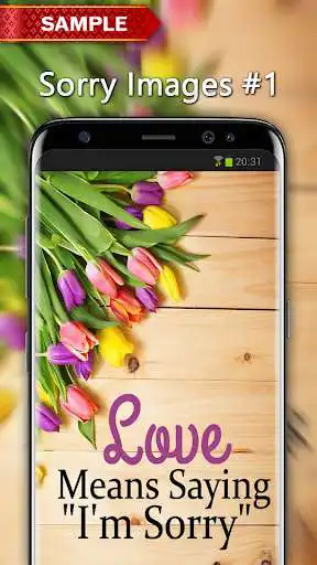 Play Sorry Images