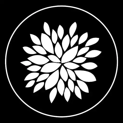 Play Soul Shape Fitness APK