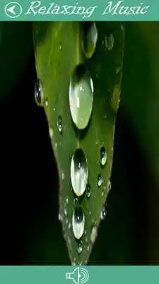 Play Sound Nature Relaxe