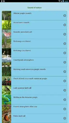 Play Sound of nature light and enjoy Sound of nature light with UptoPlay Play Sound of nature light and enjoy Sound of nature light with UptoPlay