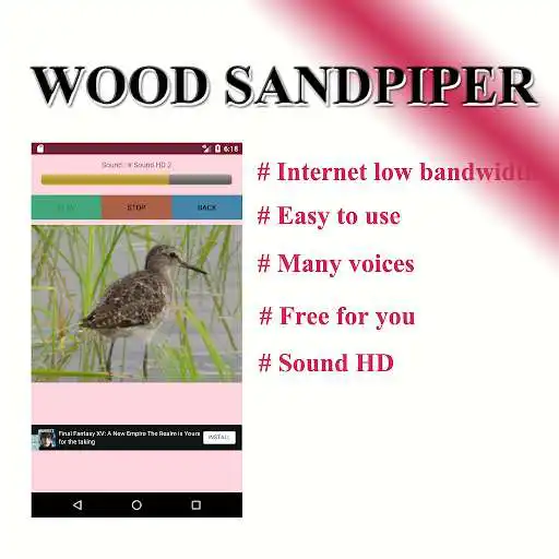 Play Sound per bird, freshwater lane Play Sound per bird, freshwater lane