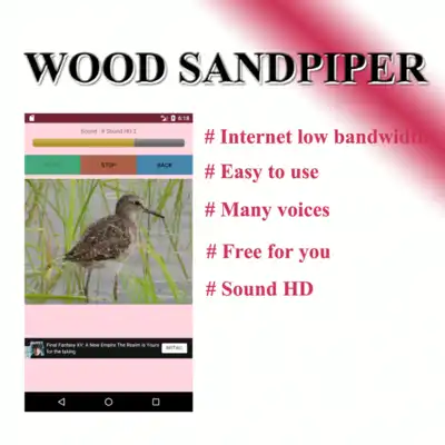 Play Sound per bird, freshwater lane Play Sound per bird, freshwater lane