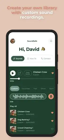 Play Sound Safe - Horses  and enjoy Sound Safe - Horses with UptoPlay
