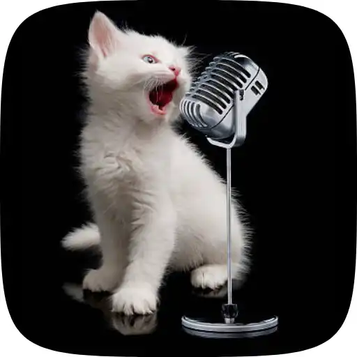 Play Sounds attract cats APK Play Sounds attract cats APK