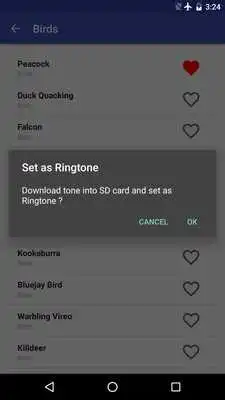 Play Soundscape
