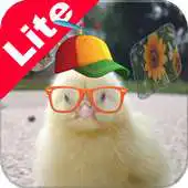 Free play online Sounds for kids - Lite APK