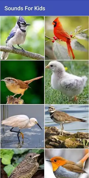 Play Sounds for Kids as an online game Sounds for Kids with UptoPlay