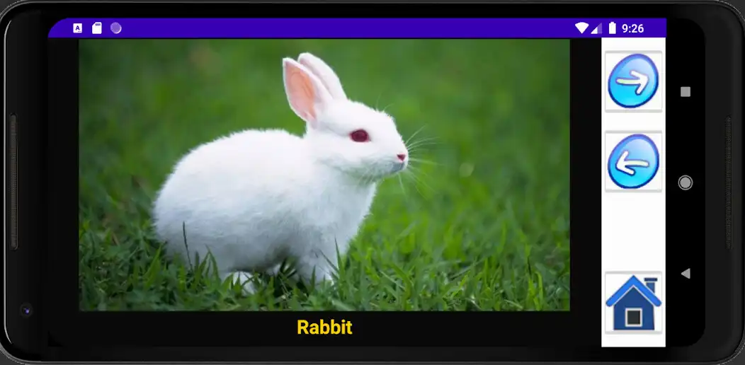 Play Sounds of Animals n Birds as an online game Sounds of Animals n Birds with UptoPlay