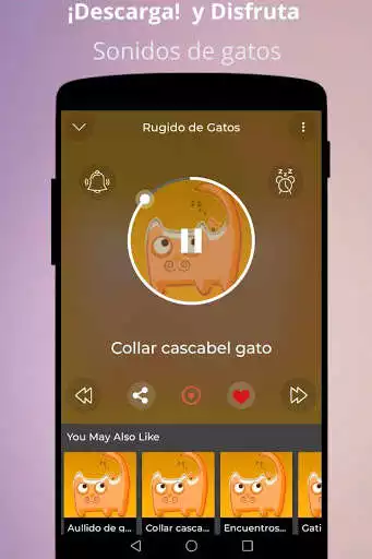 Play Sounds of Real Cats  and enjoy Sounds of Real Cats with UptoPlay