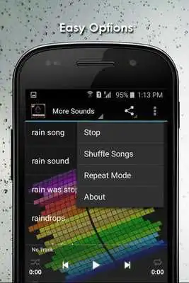 Play Sounds Of The Rain