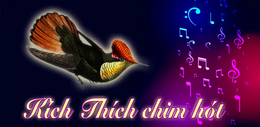 Play Sound stimulates birds singing  and enjoy Sound stimulates birds singing with UptoPlay