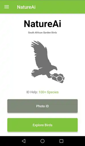 Play South African Bird Identifier and enjoy South African Bird Identifier with UptoPlay Play South African Bird Identifier and enjoy South African Bird Identifier with UptoPlay