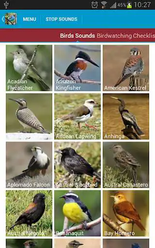 Play APK South American Birds Free  and enjoy South American Birds Free with UptoPlay com.luminousapps.southamericanbirdssounds