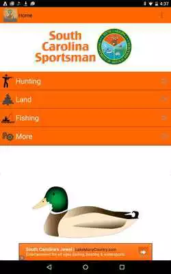 Play South Carolina Sportsman