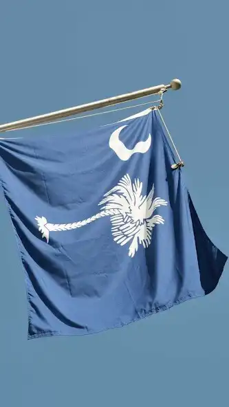 Play South Carolina Wallpaper as an online game online South Carolina Wallpaper with UptoPlay Play South Carolina Wallpaper as an online game South Carolina Wallpaper with UptoPlay