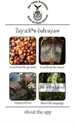 Play Southern Pomo - our food