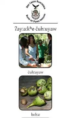 Play Southern Pomo - our food