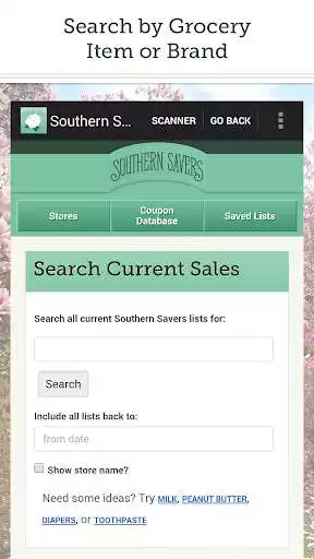 Play Southern Savers