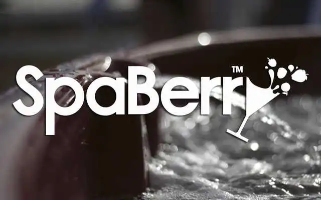 Play SpaBerry Virtual Placement App