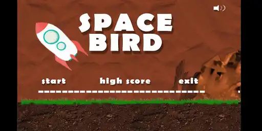 Play Space Bird