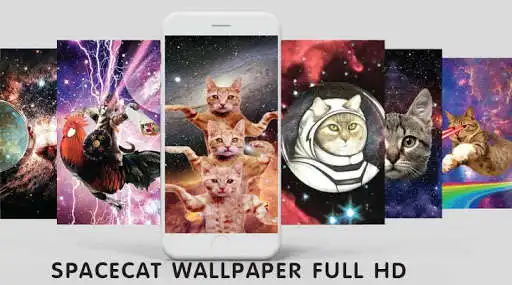 Play Space Cat Wallpaper 4K  and enjoy Space Cat Wallpaper 4K with UptoPlay