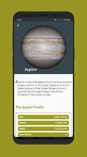 Play Space Facts