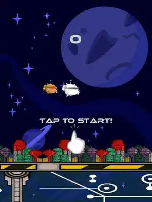 Play Space Flappers Friends of Flap Play Space Flappers Friends of Flap