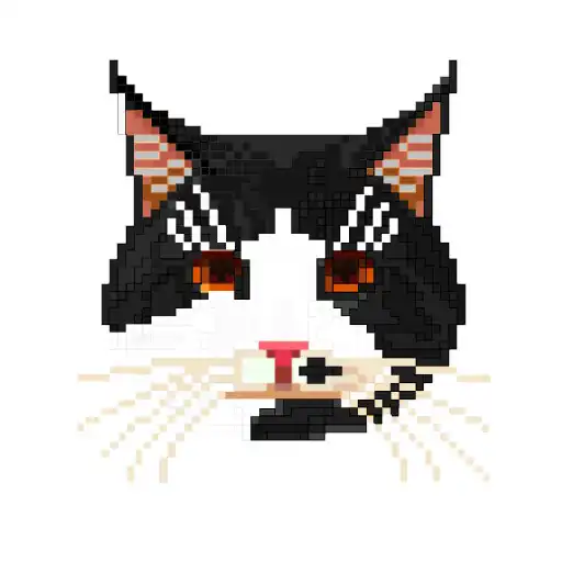 Play Space Niusha APK Play Space Niusha APK