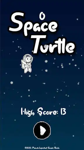 Play Space Turtle
