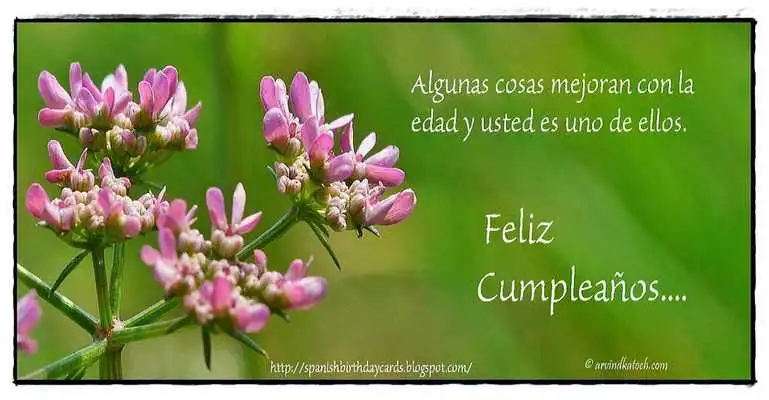 Play Spanish Birthday Cards