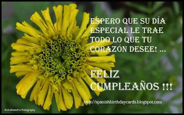 Play Spanish Birthday Cards