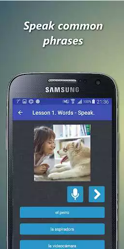 Play Spanish conjugation offline as an online game Spanish conjugation offline with UptoPlay