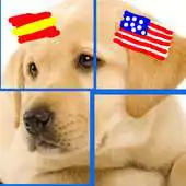 Free play online Spanish Puzzles USA: Animals APK Free play online Spanish Puzzles USA: Animals APK