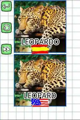 Play Spanish  Puzzles USA: Animals