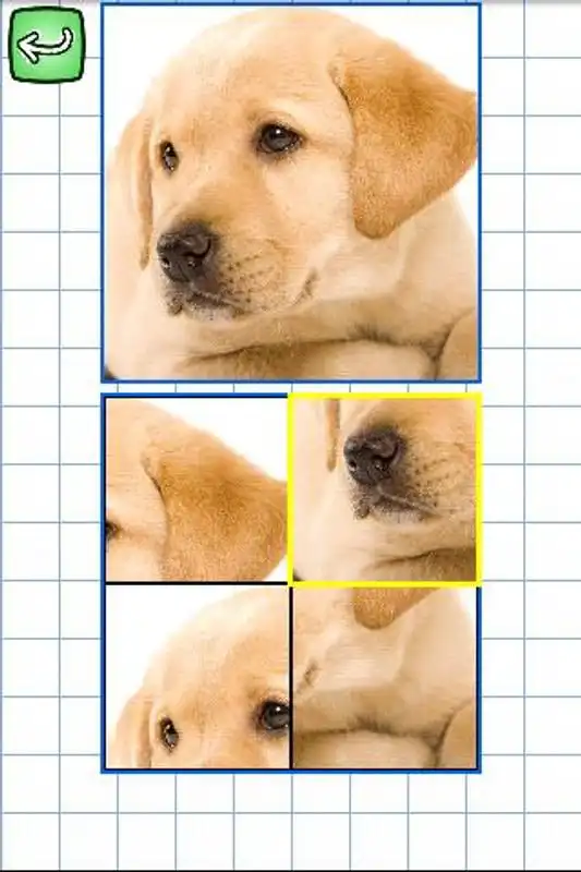 Play Spanish  Puzzles USA: Animals