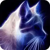 Free play online Sparkling cat live wallpaper APK