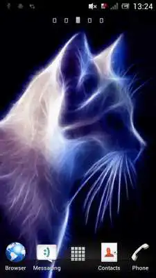 Play Sparkling cat live wallpaper